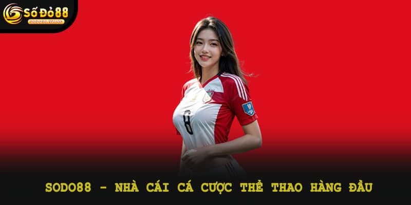 Sodo88 - Nhà cái cá cược thể thao hàng đầu