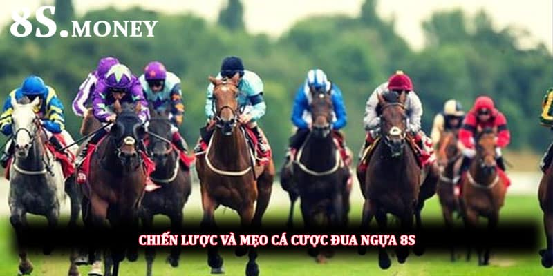 Chiến lược và mẹo cá cược đua ngựa 8S