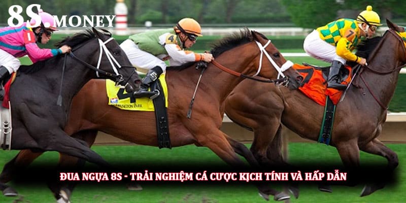 Đua ngựa 8S - Trải nghiệm cá cược kịch tính và hấp dẫn