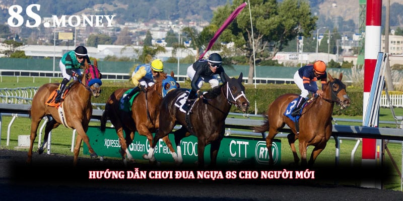 Hướng dẫn chơi đua ngựa 8S cho người mới